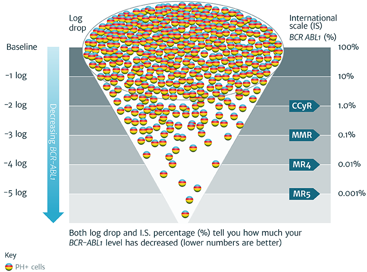 Cml Chart