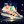 Daphne123's picture