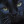 Pusser's picture
