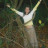 Paula Pavani Acupuntura's picture