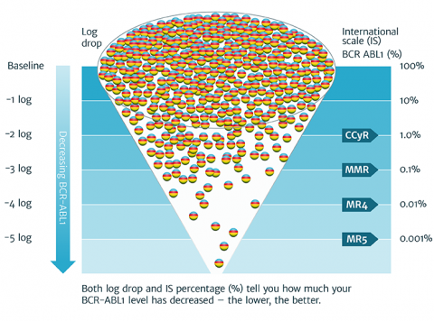 A diagrammatic representation of the International Scale