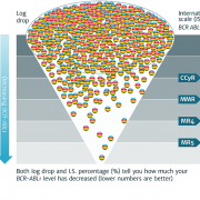 A diagram representing the PH+ International Scale